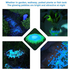 Glow-in-the-Dark Garden Pebble Stones