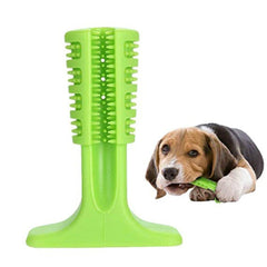 Dog Toothbrush Stick, Non-Toxic Teeth Cleaning