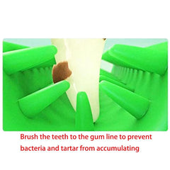 Dog Toothbrush Stick, Non-Toxic Teeth Cleaning