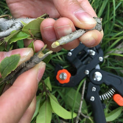 Garden Grafting Tool Pruner Kit