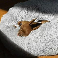 Plush Dog Pet Donut Bed