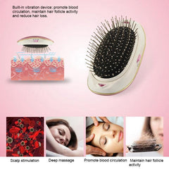 Ionic Hair Brush Hair Detangler