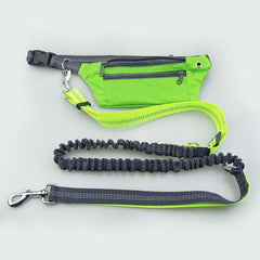 Hands-Free Bungee Dog Leash