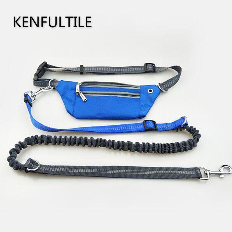 Hands-Free Bungee Dog Leash