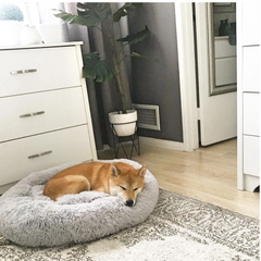 Dog Calming Bed