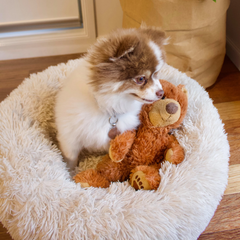 Dog Calming Bed