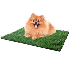 Dog Training Indoor Potty Grass