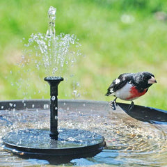 Floating Solar Bird Bath Fountain