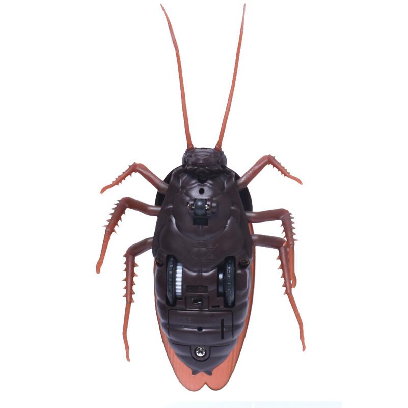 High Simulation Animal Cockroach