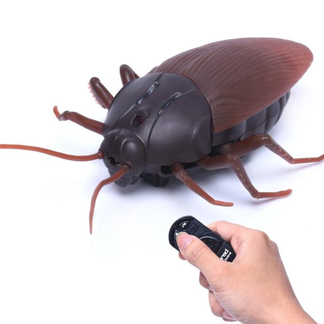 High Simulation Animal Cockroach