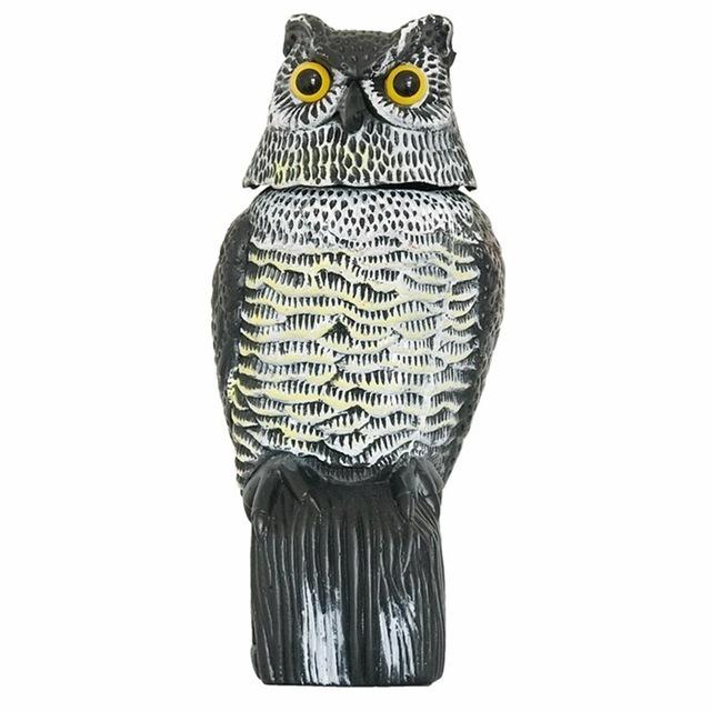 owl-4