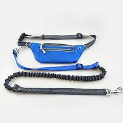 Hands-Free Bungee Dog Leash