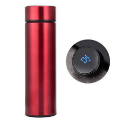 Temperature Display Vacuum Insulated Water Bottle